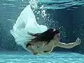 shooting sous-marin dans la piscine du château