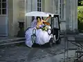 la mariée dans la voiturette du château