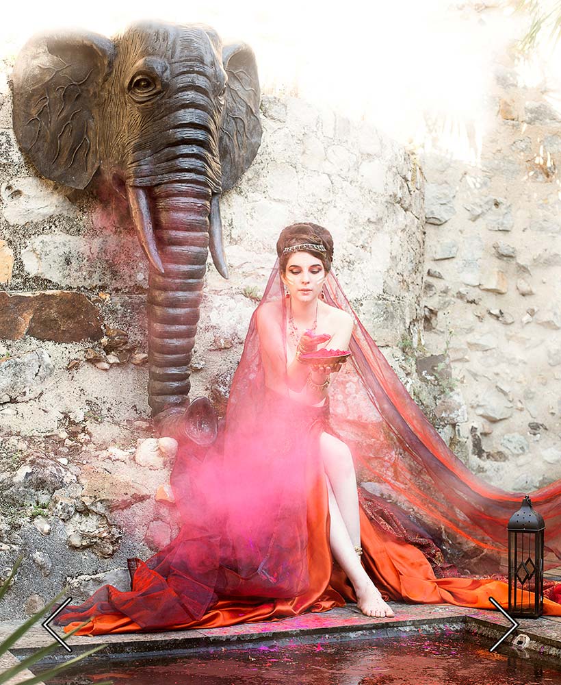 der Elefant des Palmenhains