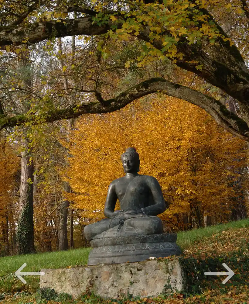 Bouddha dans le parc du château