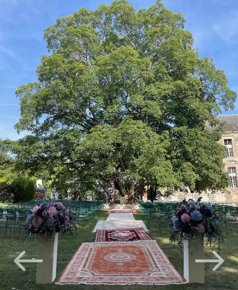 cérémonie juive sous le sycomore aux 7 troncs dans le parc du château