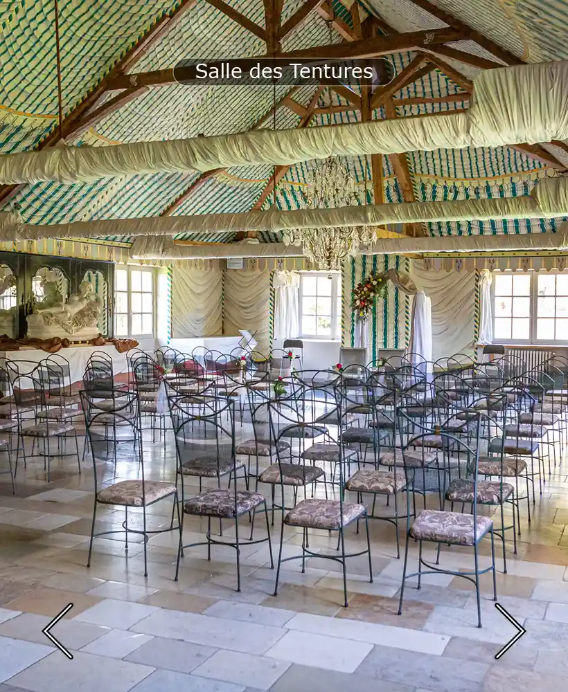 Salle des Tentures, a wedding room in a french venue