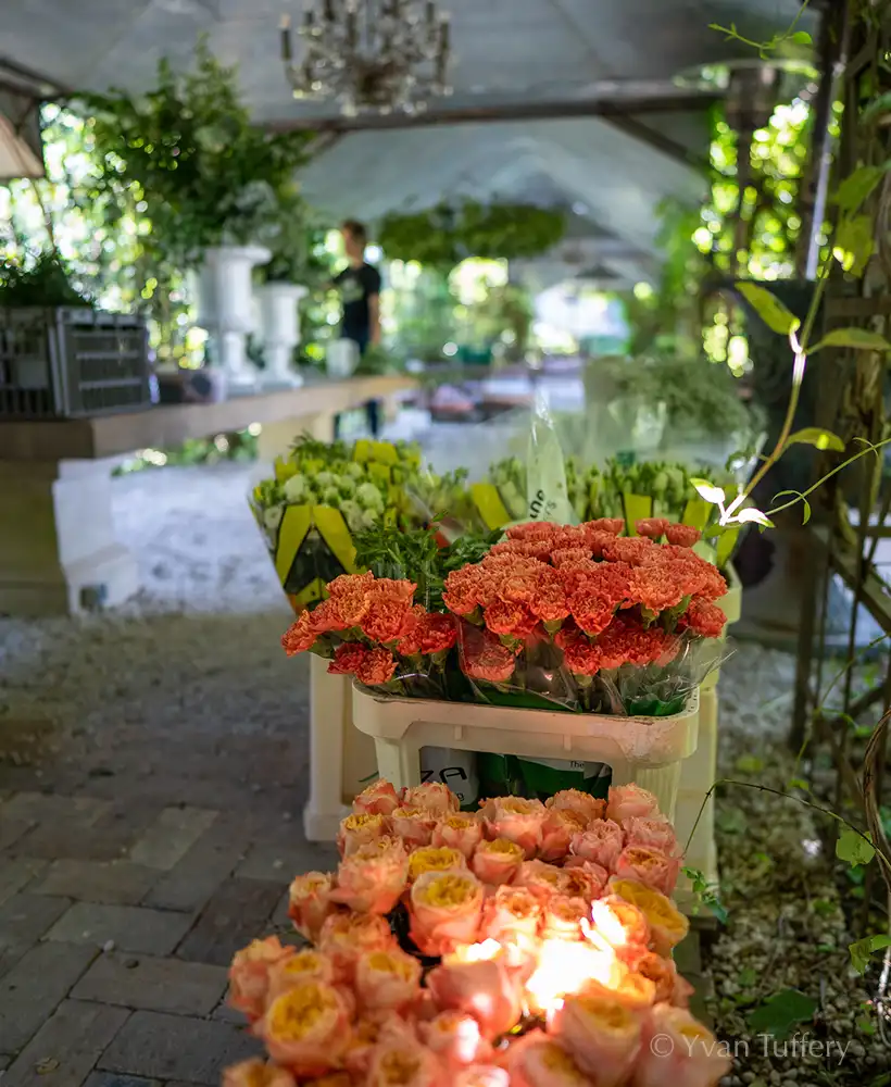 fleurs entreposées pour décoration nuptiale