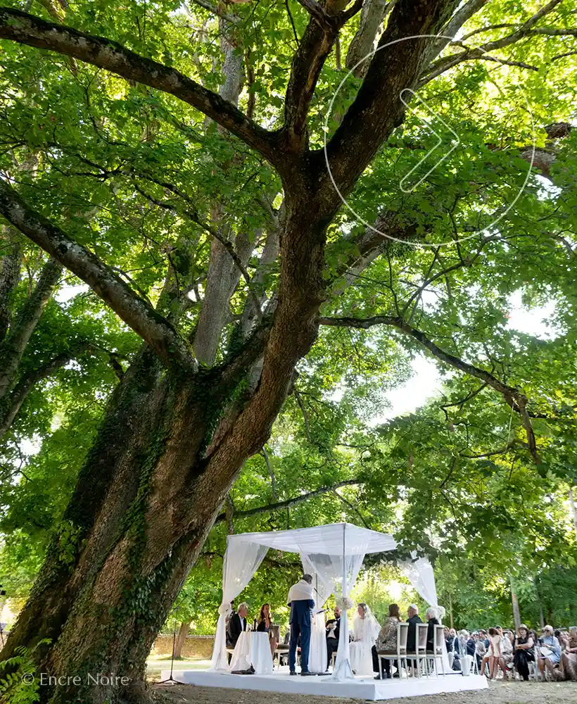 wedding in the chateau park