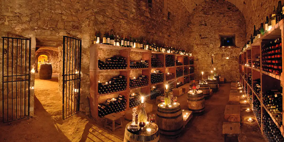 chateau's cellars for wine tasting, one hour from Paris