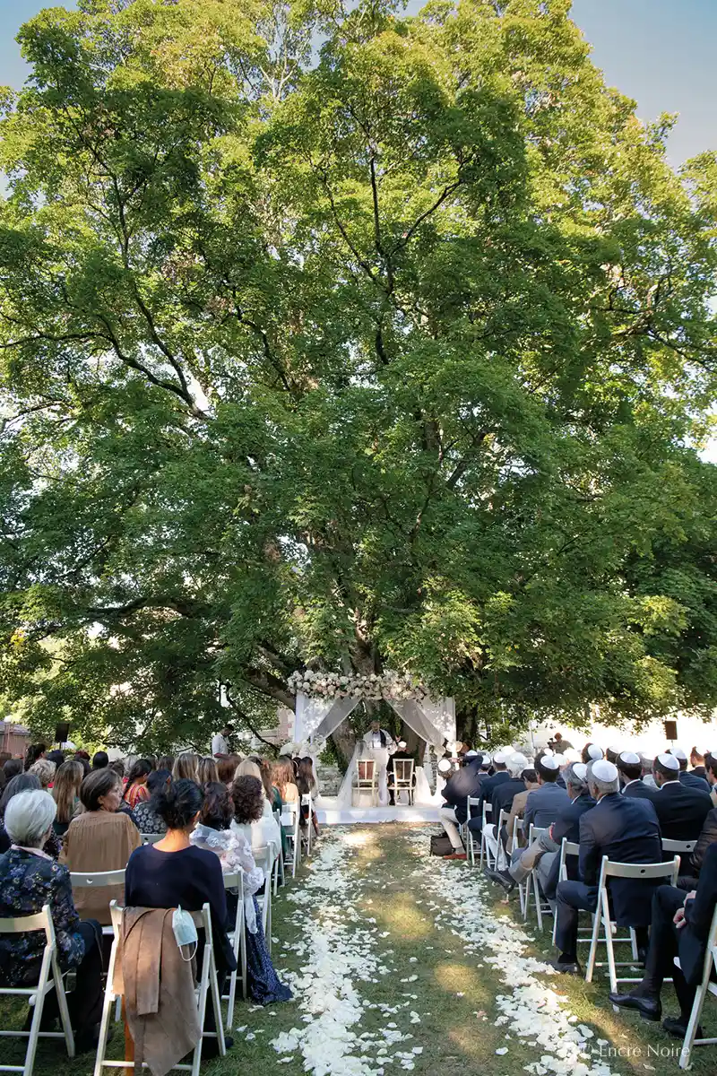 mariage juif sous le sycomore
