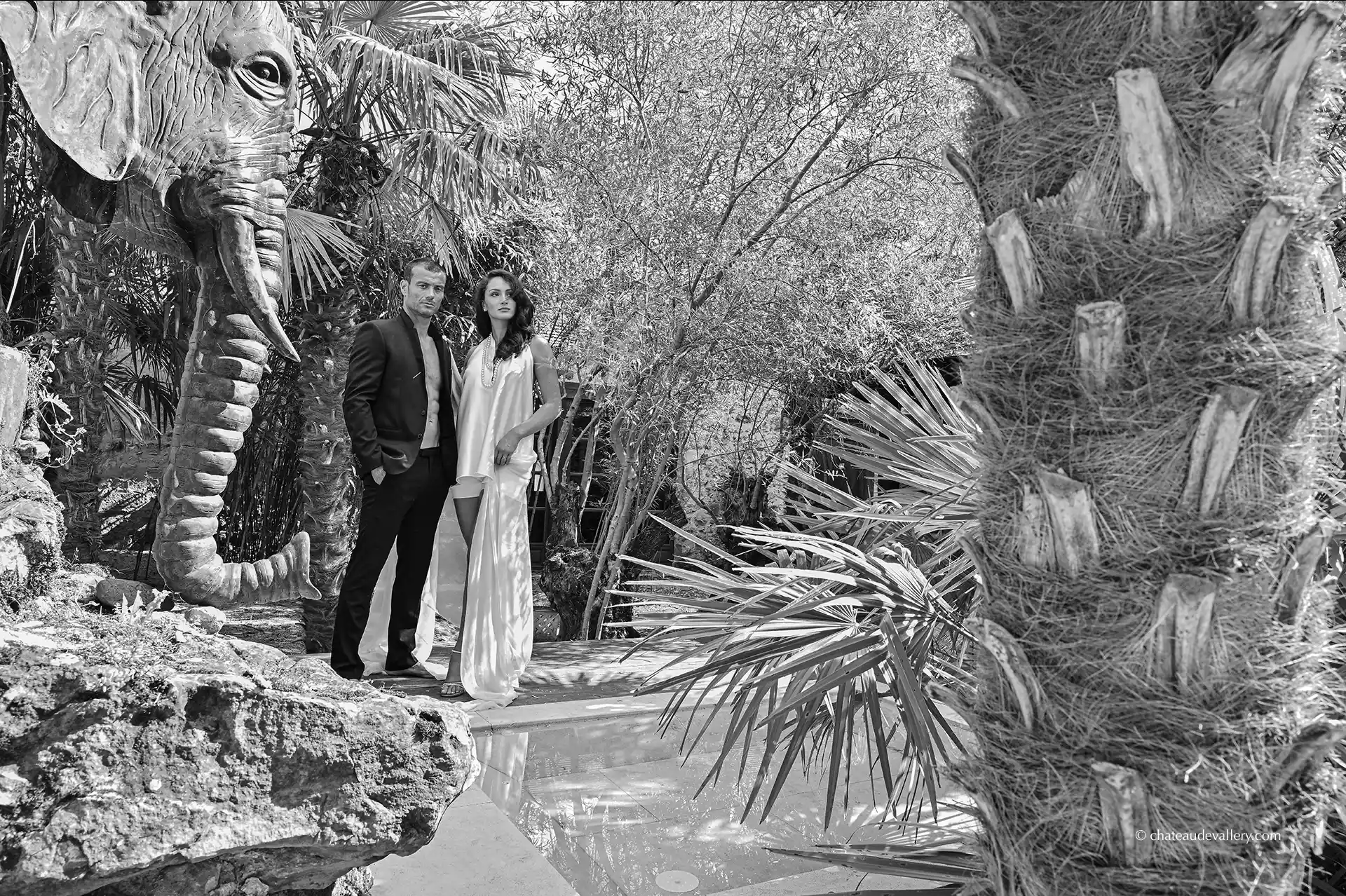 the Palm Grove and newlyweds