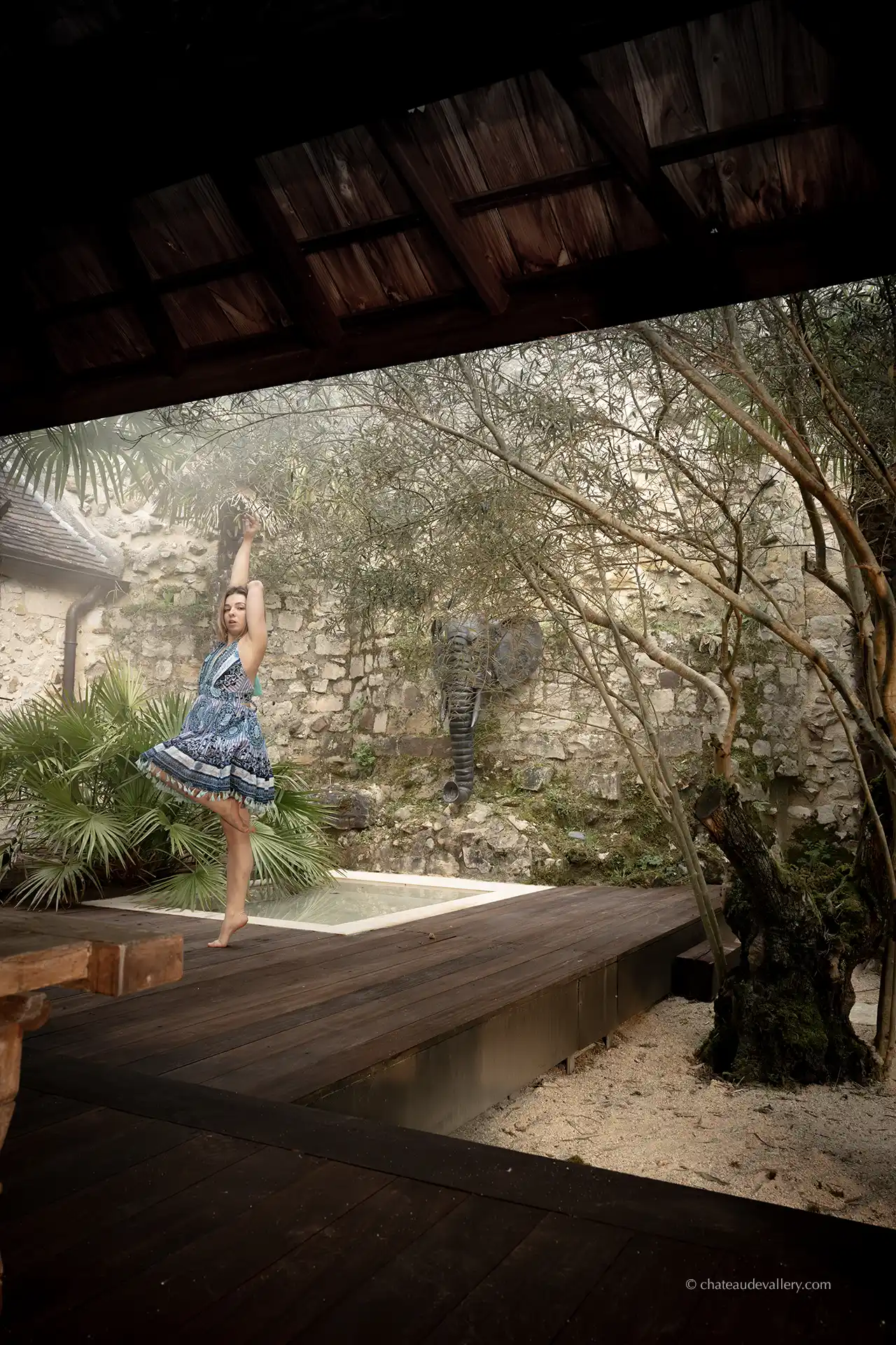 morning view of the Palm Grove