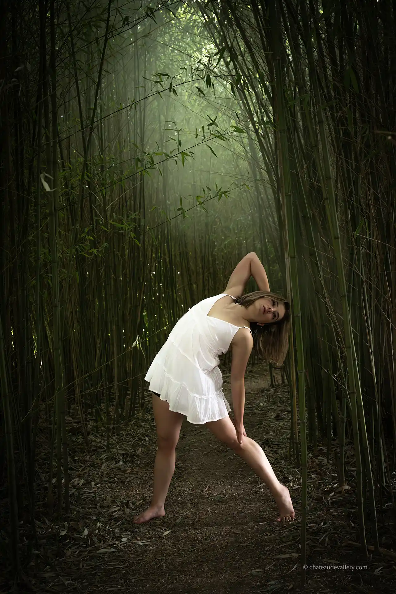 portrait de danseuse dans les bambous