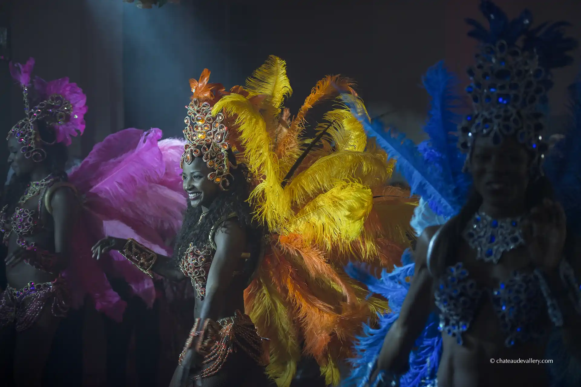 le Brésil s'invite au Château de Vallery