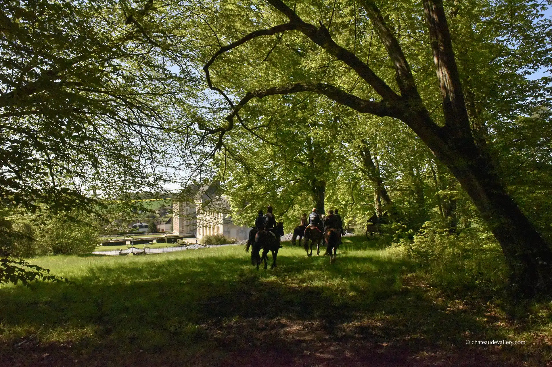 cavaliers dans le parc du Château de Vallery