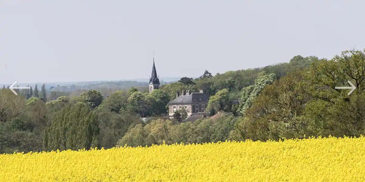 lieu de réception entre IDF et province