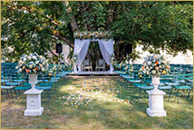 decorated houppa at the foot of the Sycamore tree