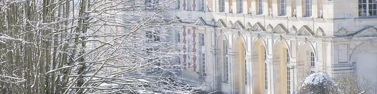 Bruiloftspromotie in het kasteel: het park onder de sneeuw.