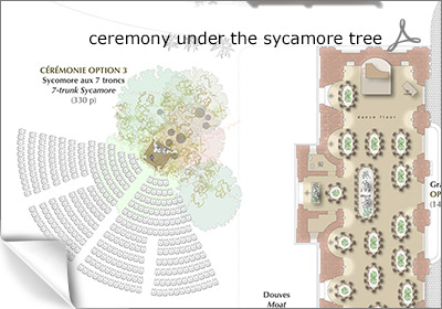 the sycamore tree for your ceremony