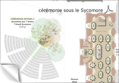 le sycomore à l'ouest du château