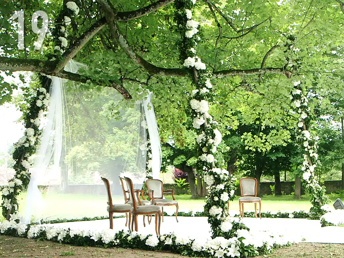 la houppa sous le sycomore au printemps