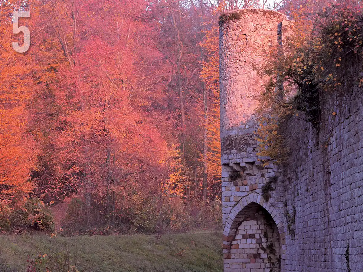 the castle ramparts in autumn