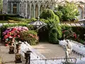hanging gardens set up for a wedding